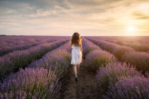 Lavendel Shooting -Traumhafte Kulisse mitten im Lavendelfeld, Die blühende und duftende Location